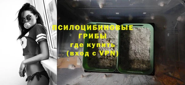 бошки Пестово