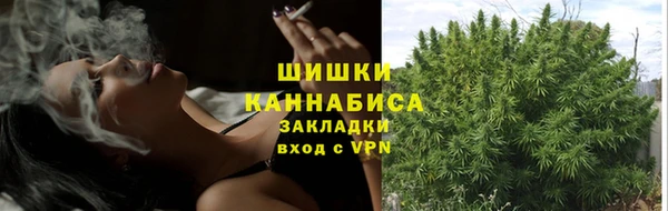 ALPHA PVP Покачи