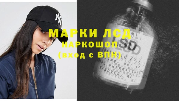 ГАЛЛЮЦИНОГЕННЫЕ ГРИБЫ Покров