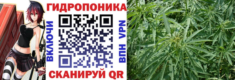 Марихуана Amnesia Купить Чишмы